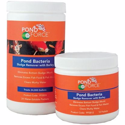 Pond Bacteria Sludge Remover with Barley